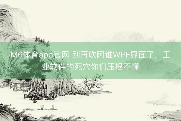 M6体育app官网 别再吹阿谁WPF界面了,工业软件的死穴你们压根不懂