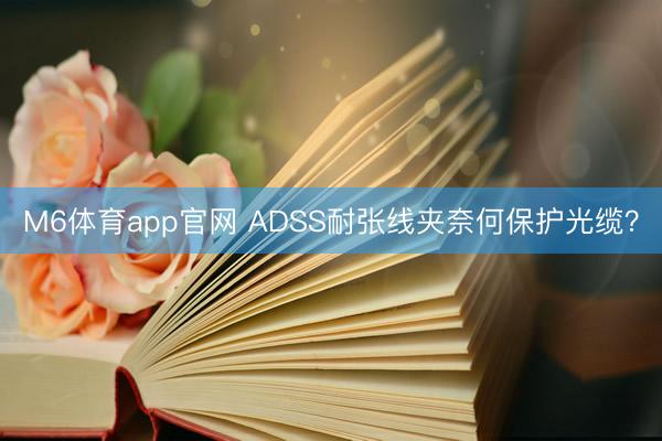M6体育app官网 ADSS耐张线夹奈何保护光缆?