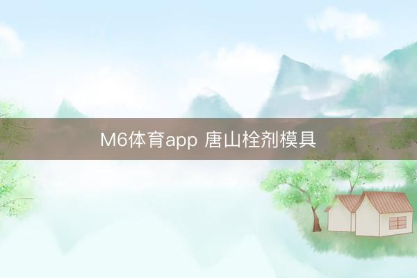 M6体育app 唐山栓剂模具