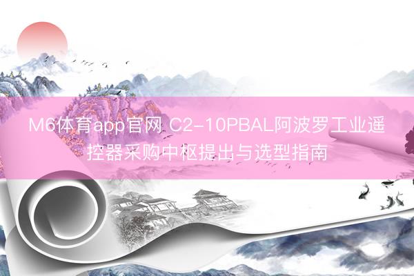 M6体育app官网 C2-10PBAL阿波罗工业遥控器采购中枢提出与选型指南