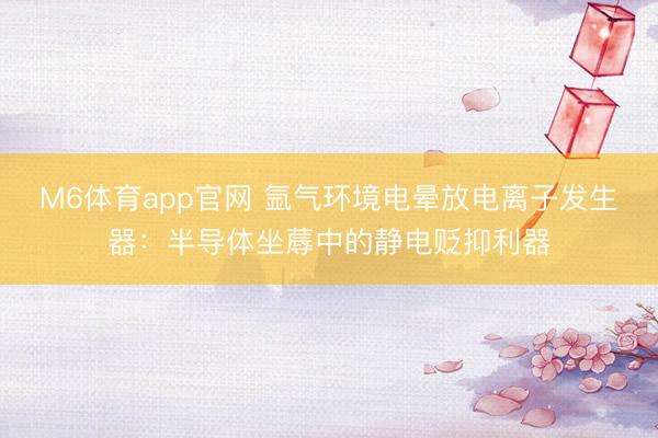 M6体育app官网 氩气环境电晕放电离子发生器：半导体坐蓐中的静电贬抑利器