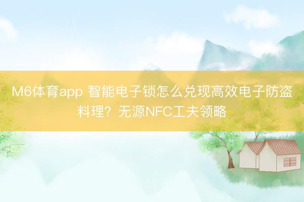 M6体育app 智能电子锁怎么兑现高效电子防盗料理？无源NFC工夫领略