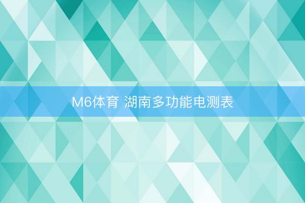 M6体育 湖南多功能电测表