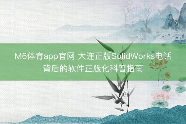 M6体育app官网 大连正版SolidWorks电话背后的软件正版化科普指南