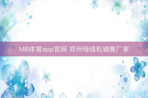 M6体育app官网 郑州母线机销售厂家