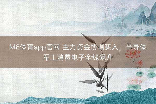 M6体育app官网 主力资金协调买入，半导体军工消费电子全线飙升