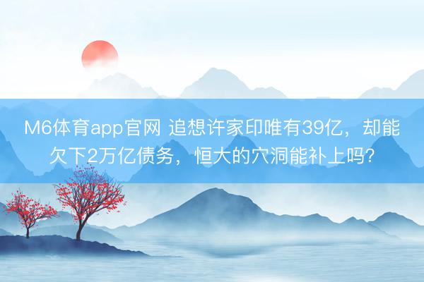 M6体育app官网 追想许家印唯有39亿，却能欠下2万亿债务，恒大的穴洞能补上吗？