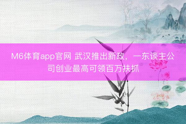 M6体育app官网 武汉推出新政，一东谈主公司创业最高可领百万扶抓