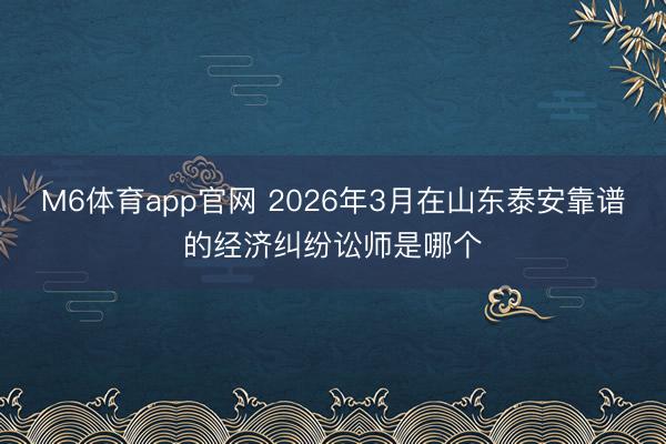 M6体育app官网 2026年3月在山东泰安靠谱的经济纠纷讼师是哪个
