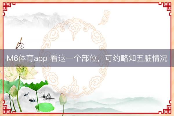 M6体育app 看这一个部位,可约略知五脏情况